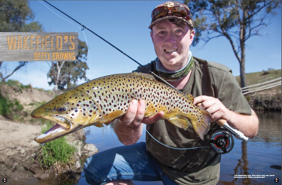 fishing at waterfall way farmstay